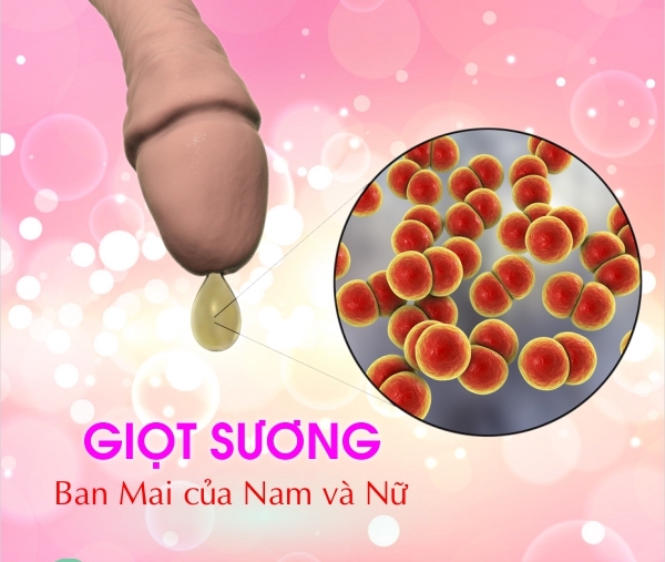 lau-o-nam-gioi
